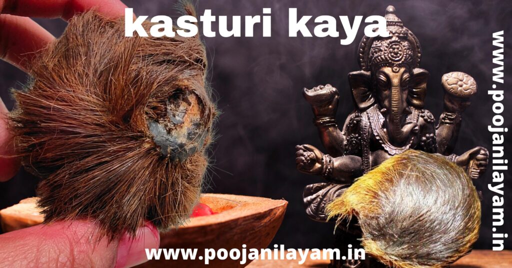 kasturi_kaya_original